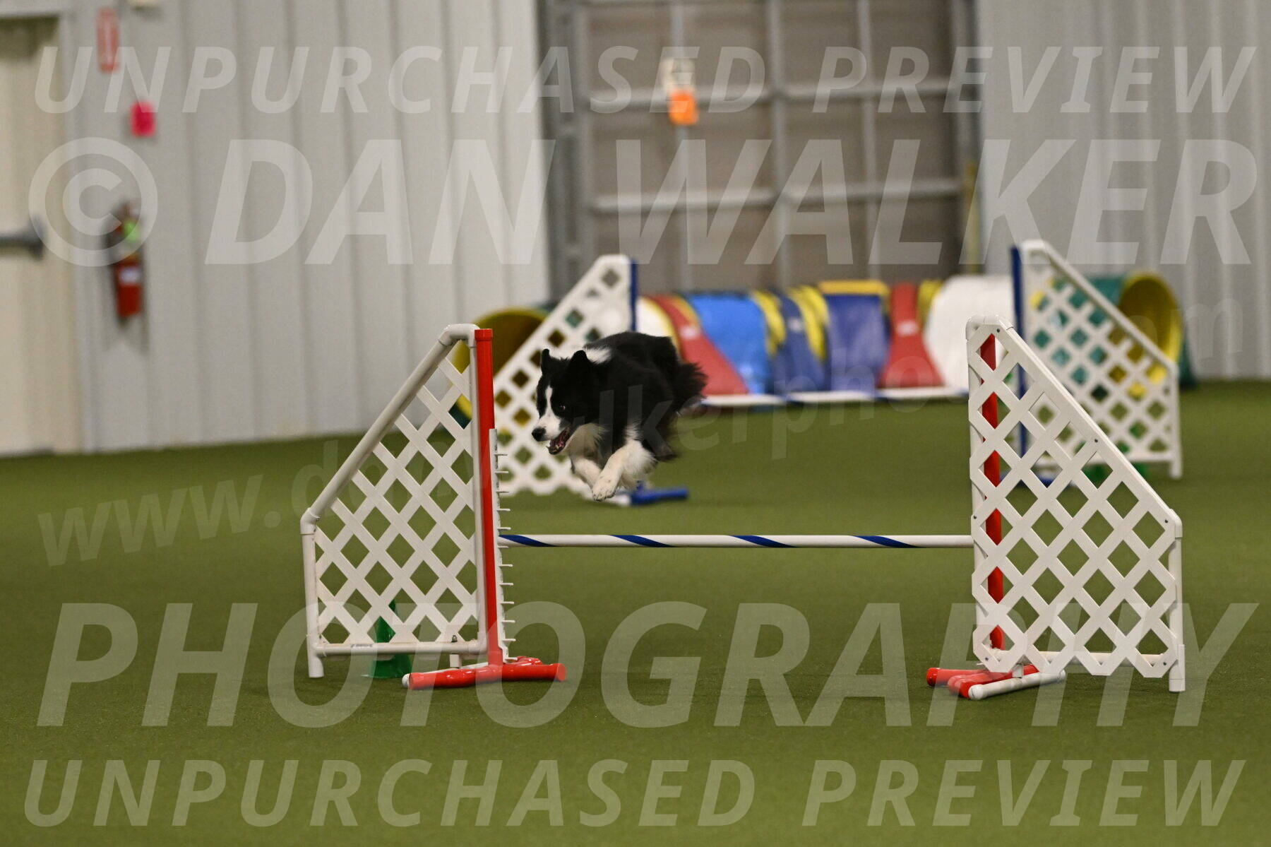 Cyrus-Kirra-Yanchilk-02353