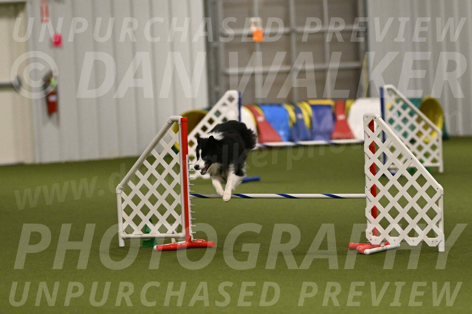 Cyrus-Kirra-Yanchilk-02354