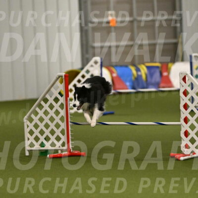 Cyrus-Kirra-Yanchilk-02354