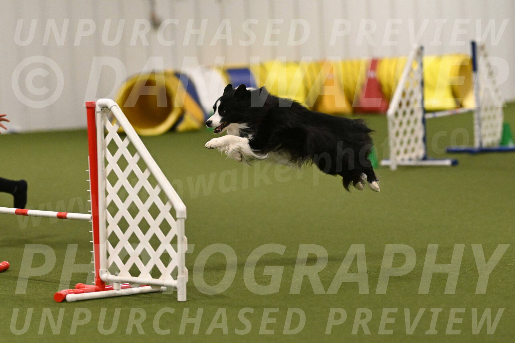 Cyrus-Kirra-Yanchilk-02355