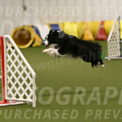 Cyrus-Kirra-Yanchilk-02355