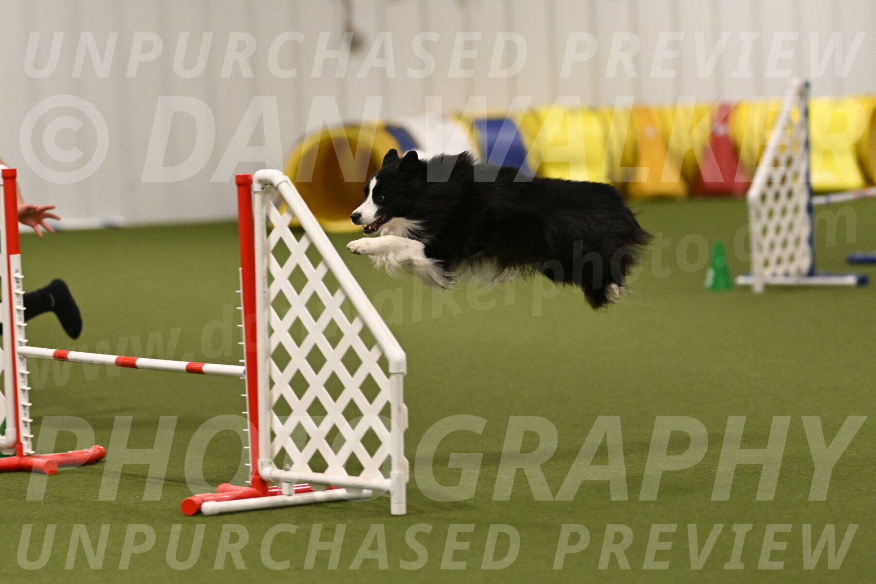 Cyrus-Kirra-Yanchilk-02356