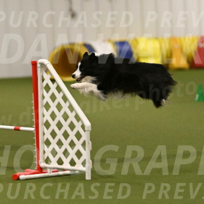 Cyrus-Kirra-Yanchilk-02356