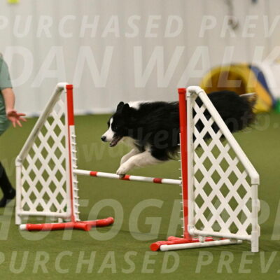 Cyrus-Kirra-Yanchilk-02357