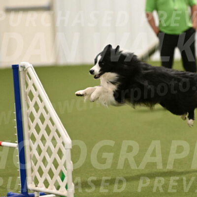 Cyrus-Kirra-Yanchilk-02359