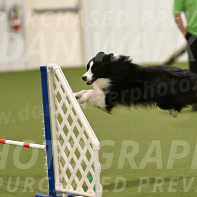 Cyrus-Kirra-Yanchilk-02360