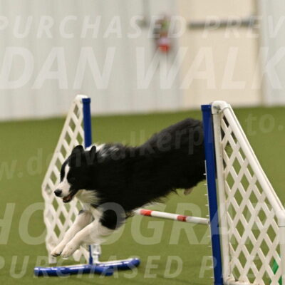 Cyrus-Kirra-Yanchilk-02361