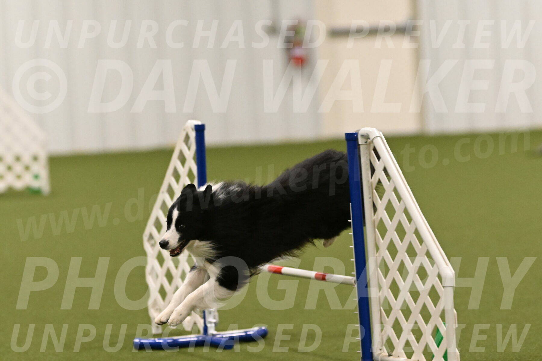 Cyrus-Kirra-Yanchilk-02361