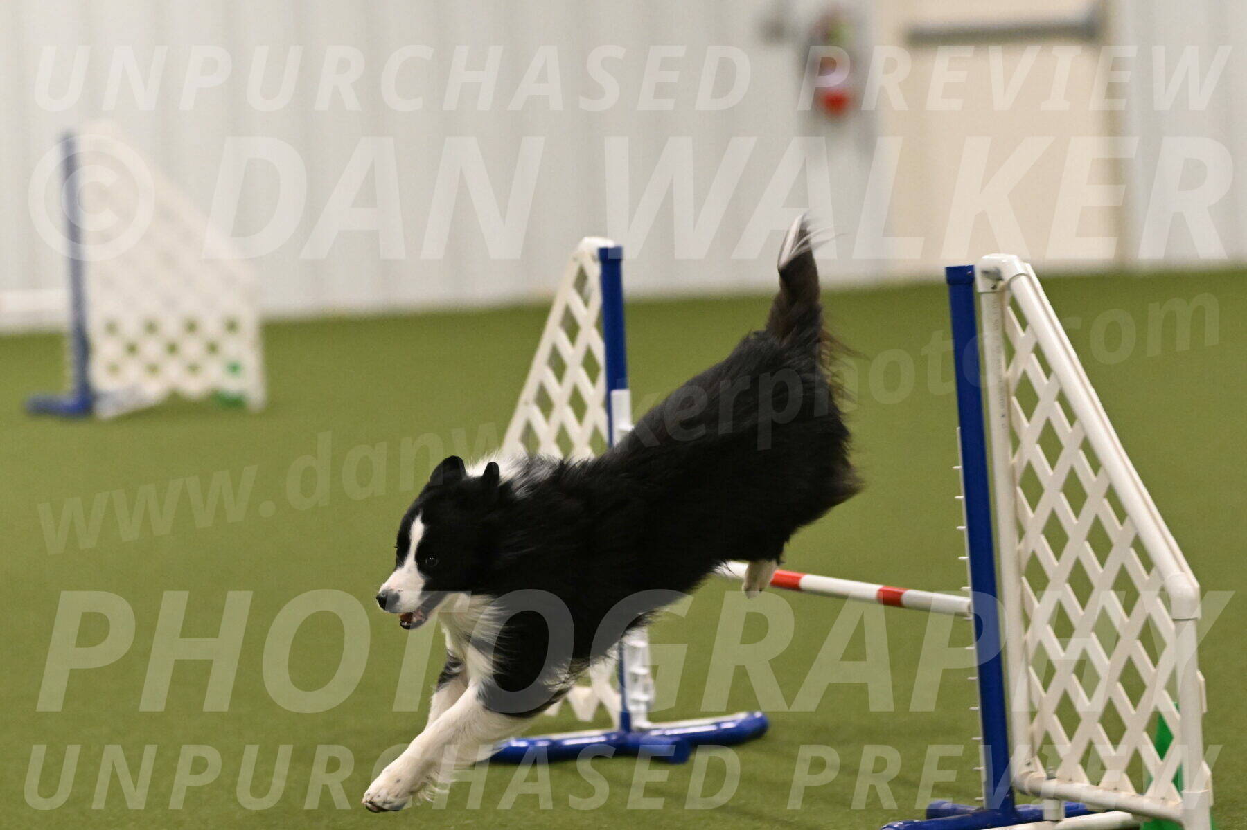 Cyrus-Kirra-Yanchilk-02362