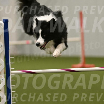 Cyrus-Kirra-Yanchilk-02363