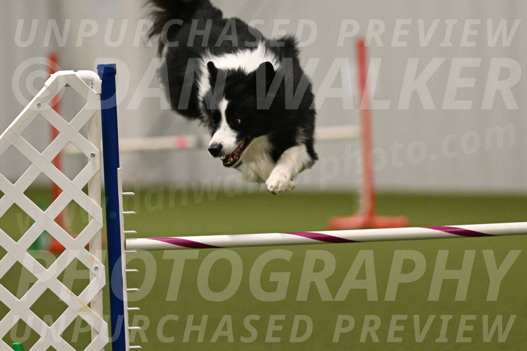 Cyrus-Kirra-Yanchilk-02363