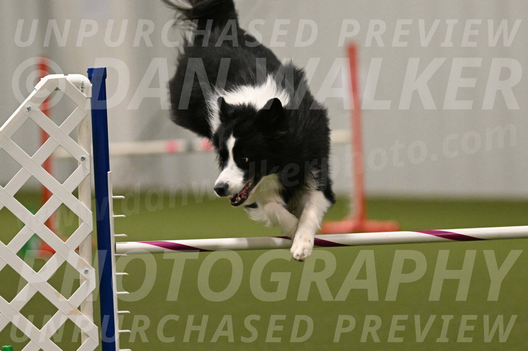 Cyrus-Kirra-Yanchilk-02364