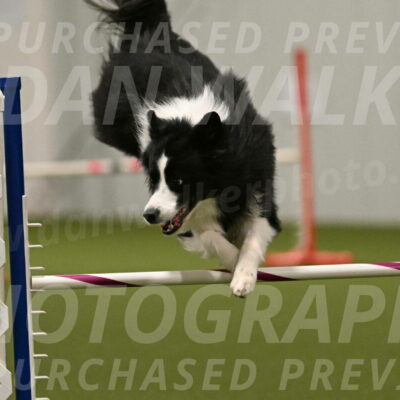 Cyrus-Kirra-Yanchilk-02364