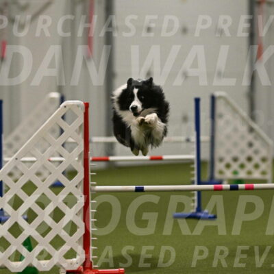 Cyrus-Kirra-Yanchilk-02365