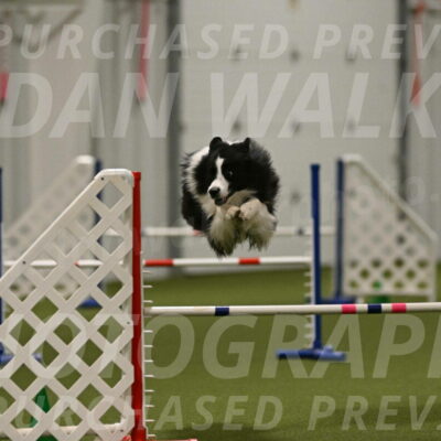 Cyrus-Kirra-Yanchilk-02366