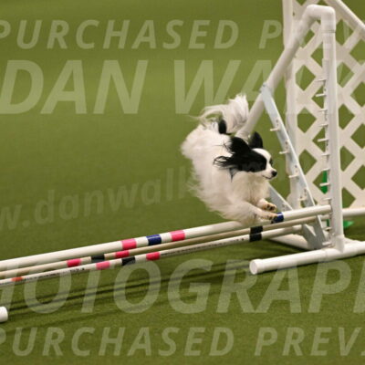 Dainty-Heather-Chambers-10890