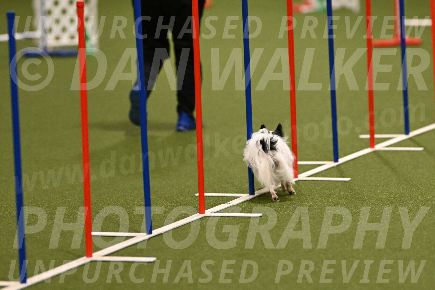 Dainty-Heather-Chambers-10892