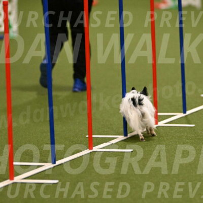 Dainty-Heather-Chambers-10892