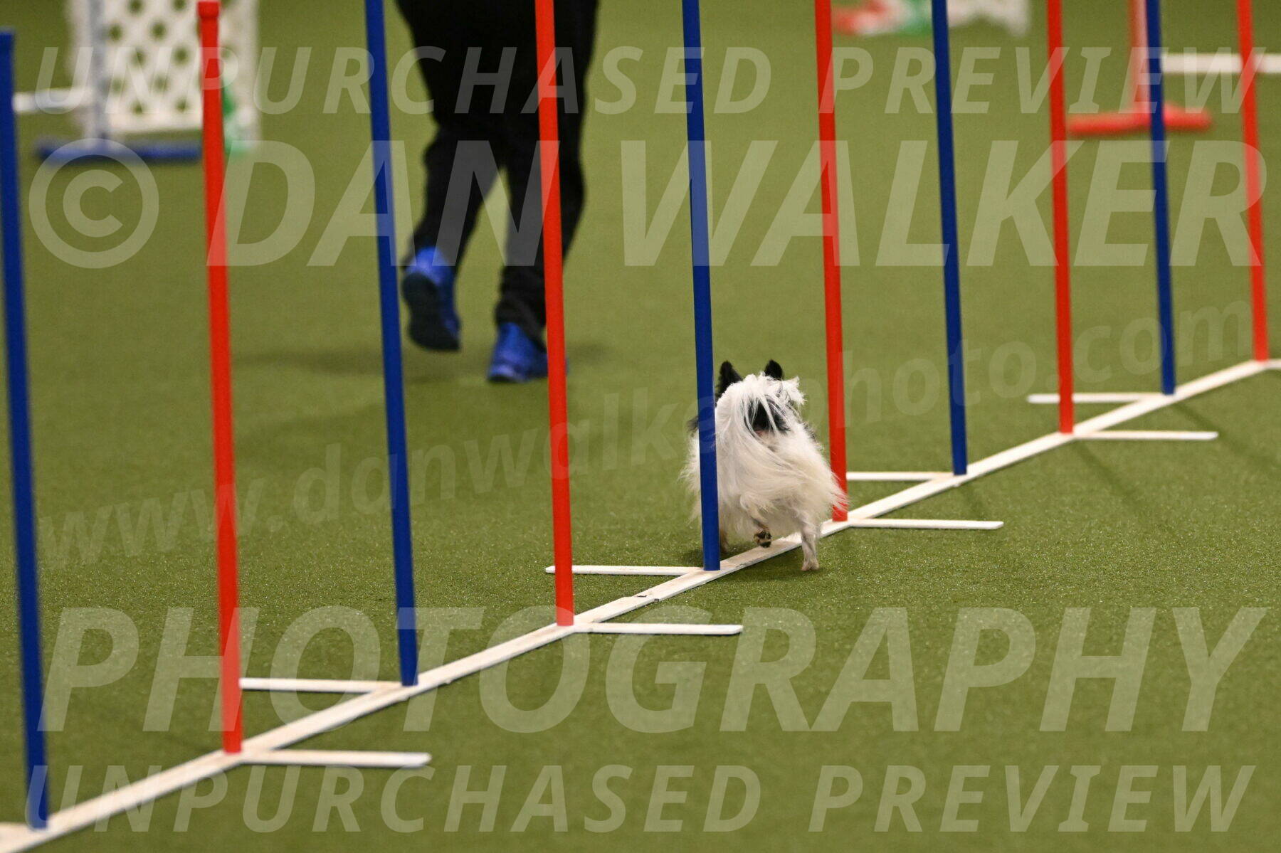 Dainty-Heather-Chambers-10893