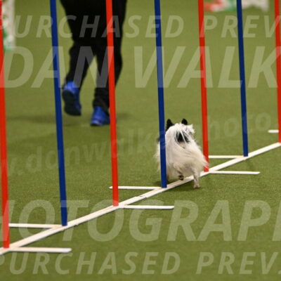 Dainty-Heather-Chambers-10893