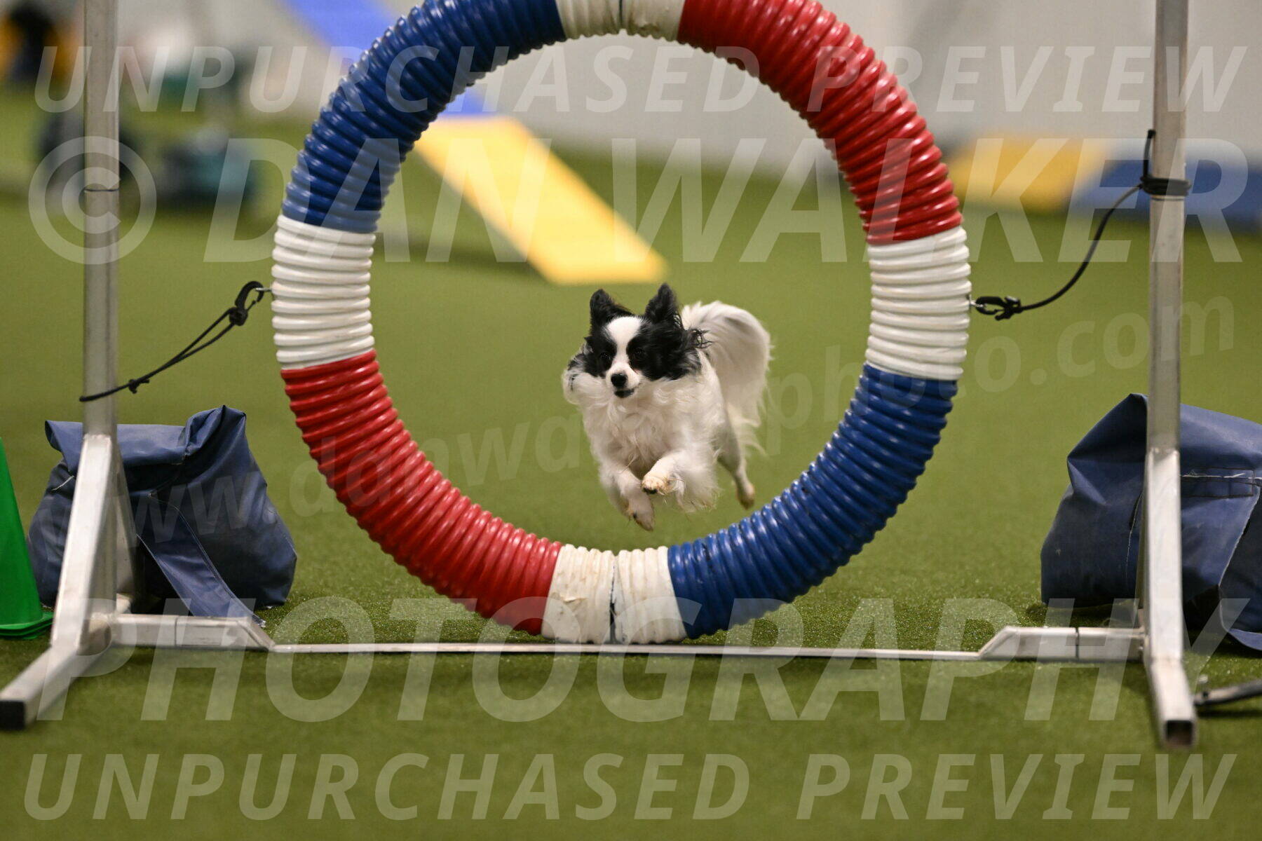 Dainty-Heather-Chambers-10894