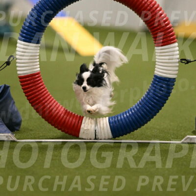 Dainty-Heather-Chambers-10895