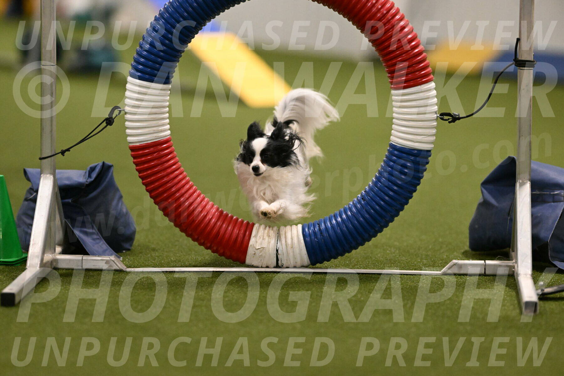 Dainty-Heather-Chambers-10895