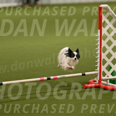 Dainty-Heather-Chambers-10896