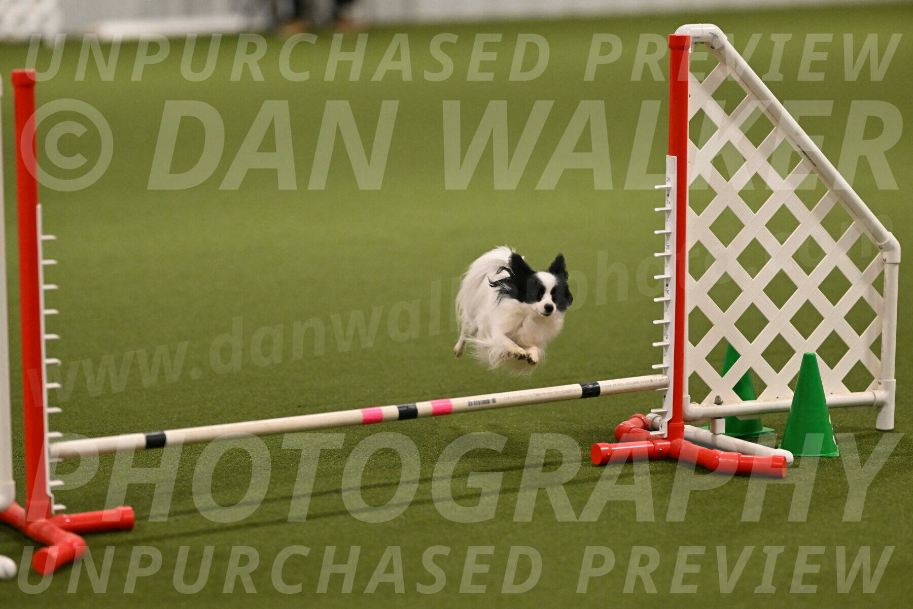 Dainty-Heather-Chambers-10896