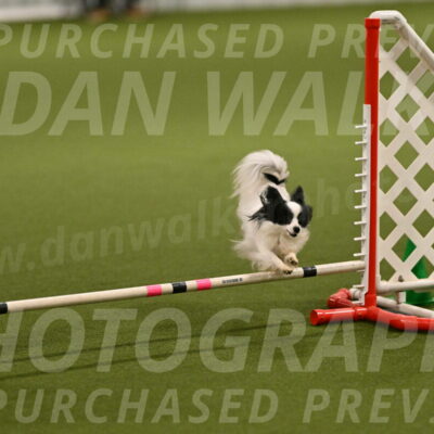 Dainty-Heather-Chambers-10897