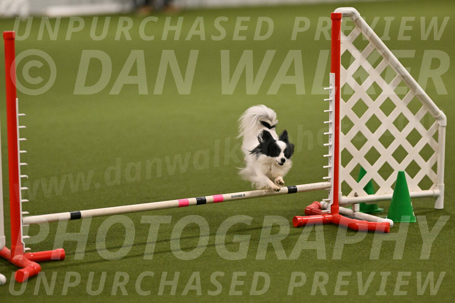 Dainty-Heather-Chambers-10897