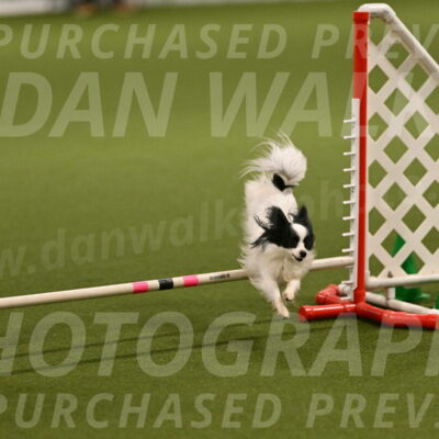 Dainty-Heather-Chambers-10898