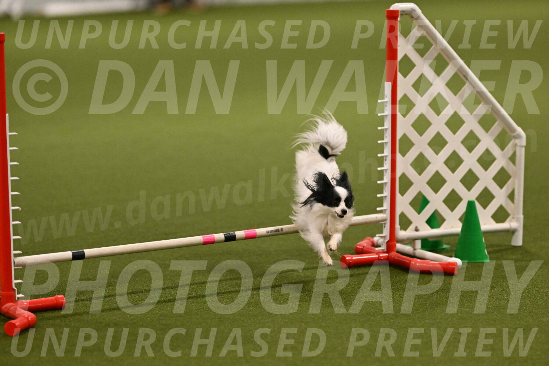 Dainty-Heather-Chambers-10898