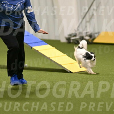 Dainty-Heather-Chambers-10899