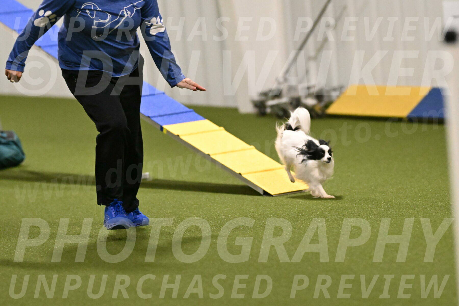 Dainty-Heather-Chambers-10899