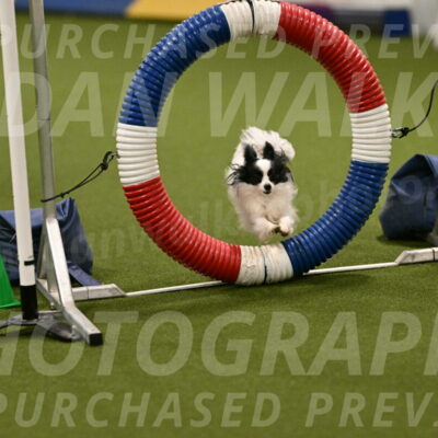 Dainty-Heather-Chambers-10900