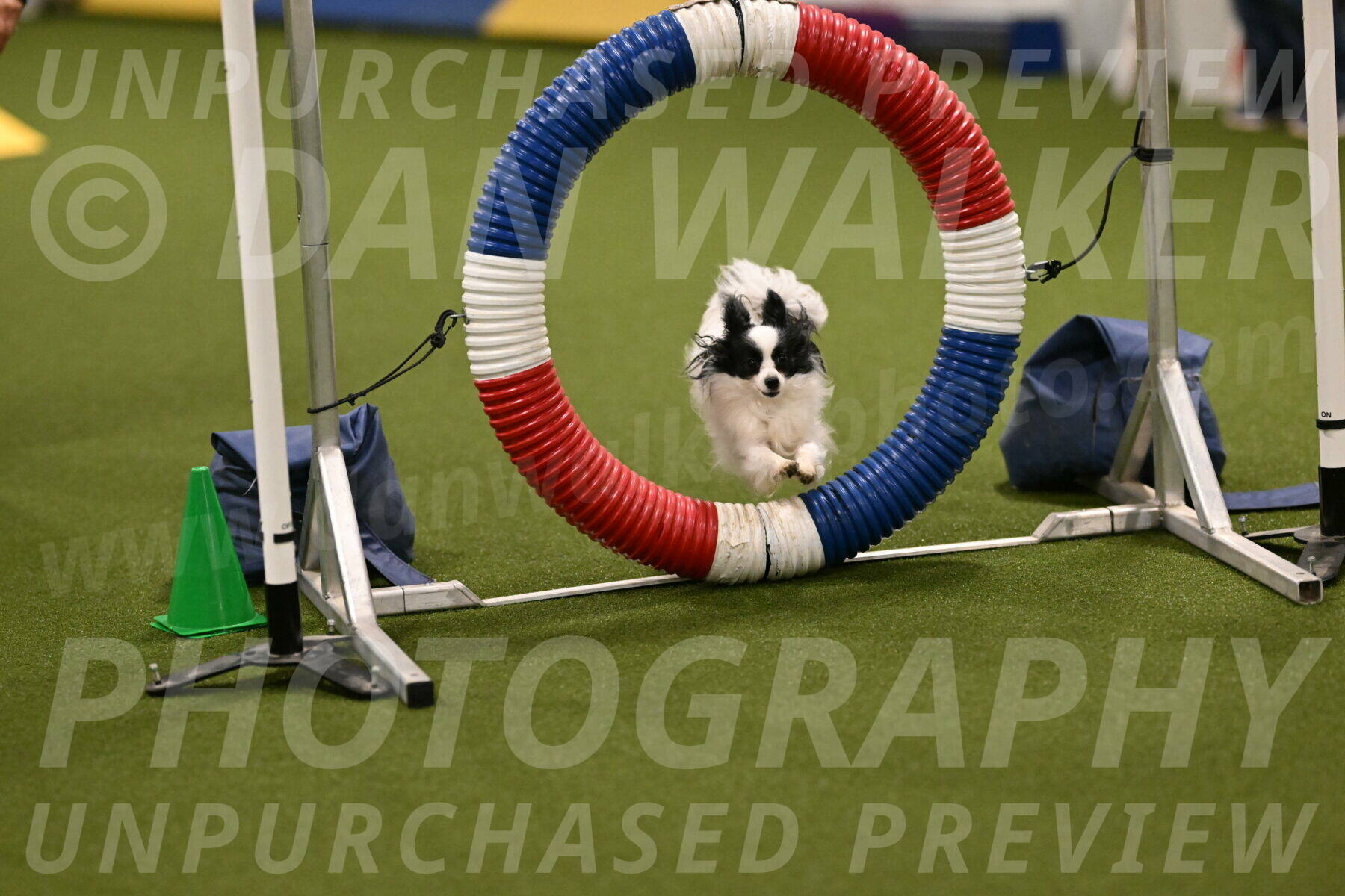 Dainty-Heather-Chambers-10900