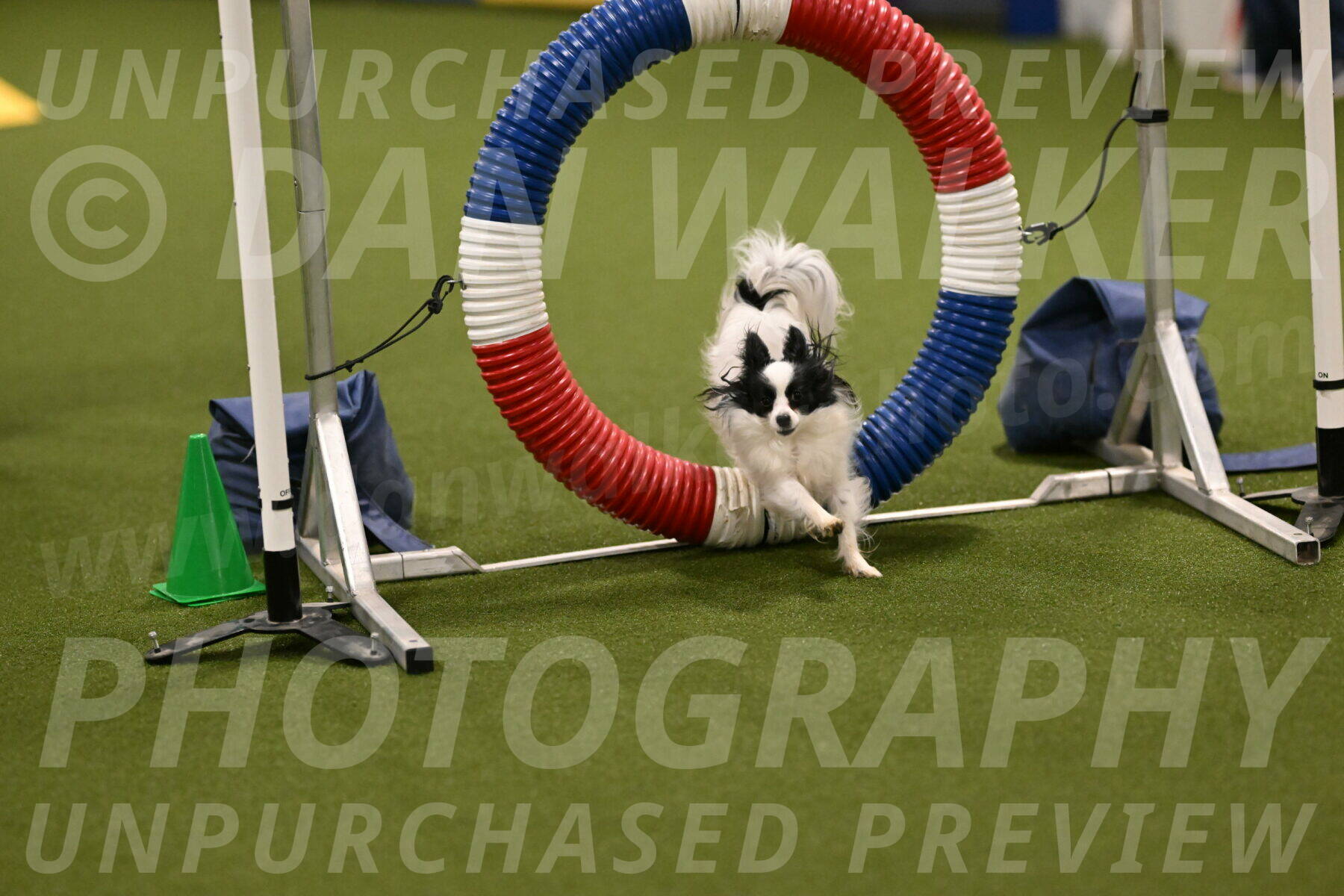 Dainty-Heather-Chambers-10901