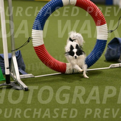 Dainty-Heather-Chambers-10901