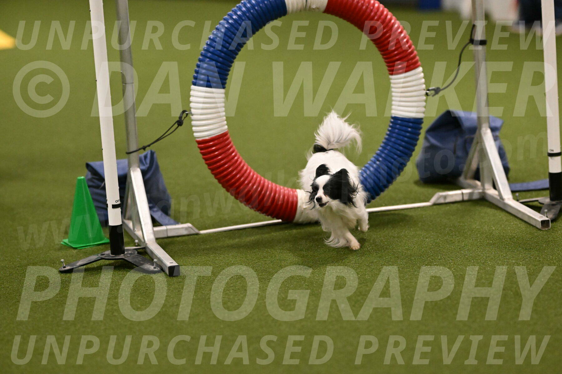 Dainty-Heather-Chambers-10902