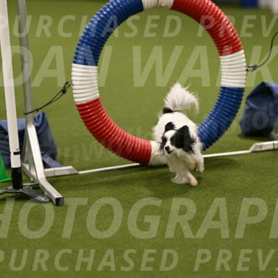 Dainty-Heather-Chambers-10902