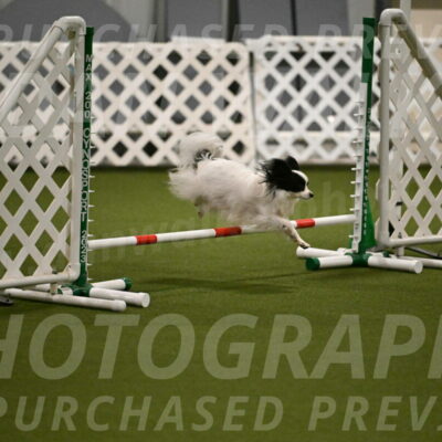 Dainty-Heather-Chambers-10903