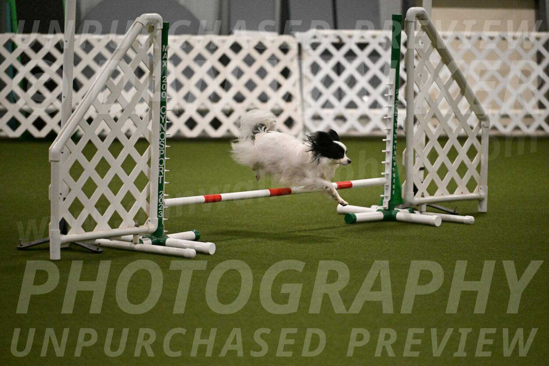 Dainty-Heather-Chambers-10903