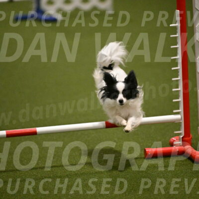 Dainty-Heather-Chambers-10904