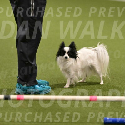 Dainty-Heather-Chambers-10905