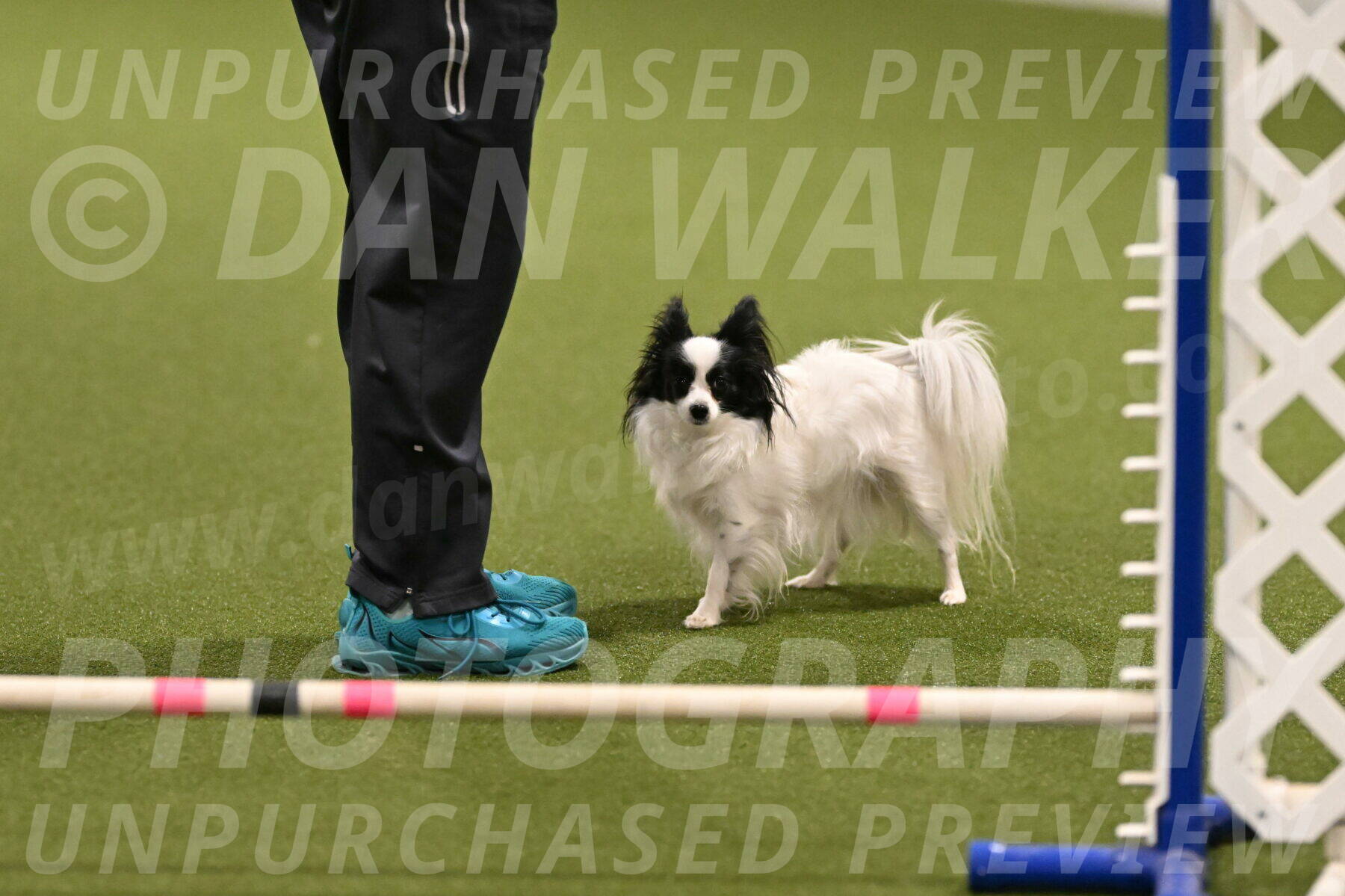 Dainty-Heather-Chambers-10905