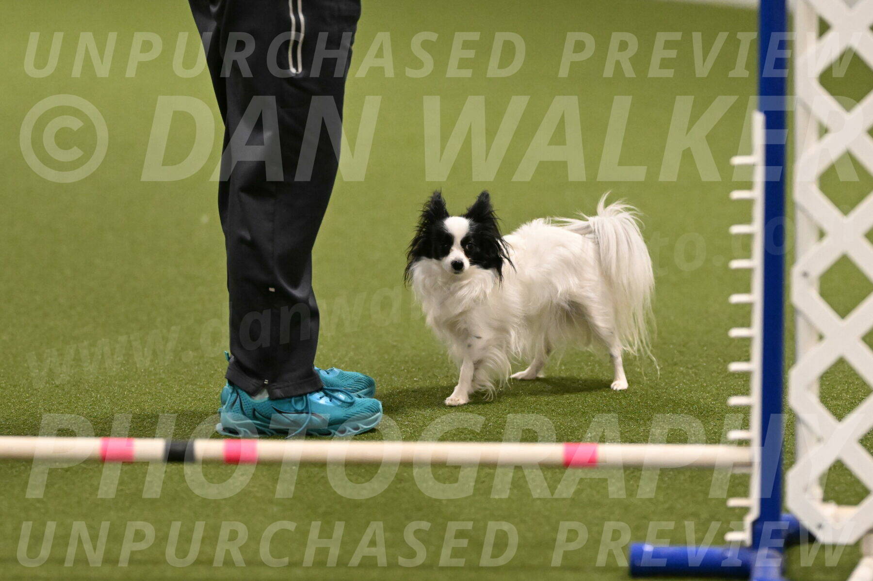 Dainty-Heather-Chambers-10906