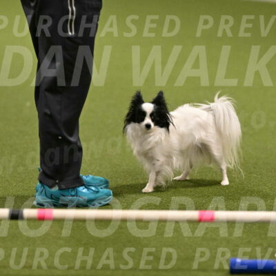 Dainty-Heather-Chambers-10906