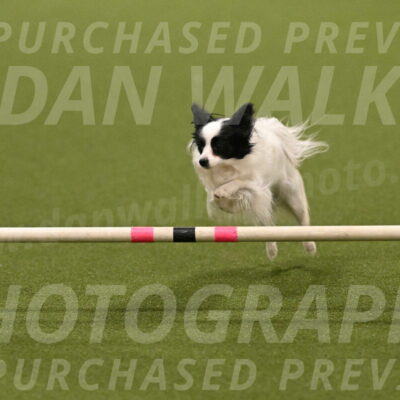 Dainty-Heather-Chambers-10907