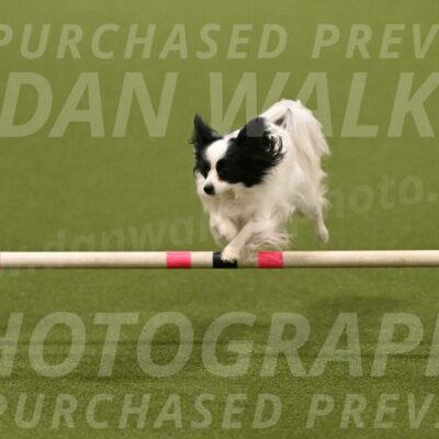 Dainty-Heather-Chambers-10908